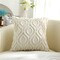 Decorative Throw Pillow Covers 18x18, Soft Plush Faux Wool Couch Pillow Covers for Home, Set of 2, Beige